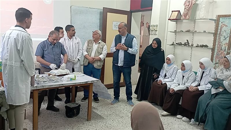 وكيل وزارة التربية