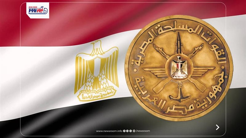 الدبلومات المهنية