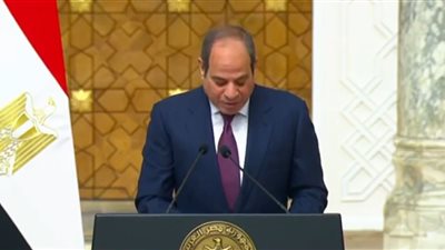 السيسي: مصر وفنلندا تبحثان توسيع التعاون الاقتصادي وزيادة الاستثمارات المتبادل