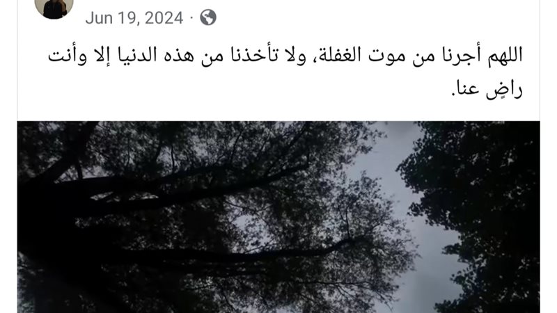 المنشور