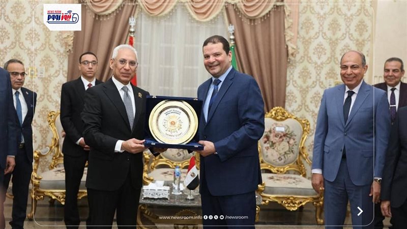 جامعة المنيا