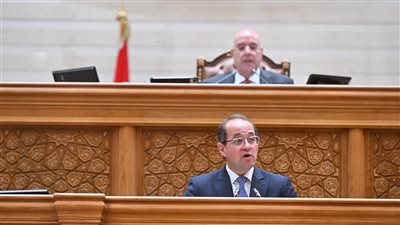 وزير المالية أمام النواب: زيادة الأجور والمعاشات أولوية في الموازنة الجديدة