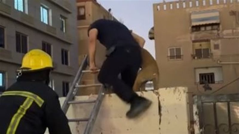 لحظة الإنقاذ
