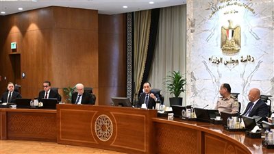 قرارات حكومية لتعزيز التحول الرقمي وتحسين كفاءة الخدمات العامة