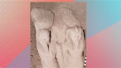 تمثال ضخم لرمسيس الثاني يظهر بالشرقية.. و«الأثار» تكشف التفاصيل