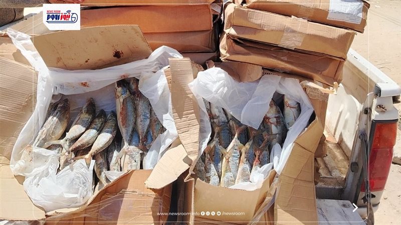 المضبوطات