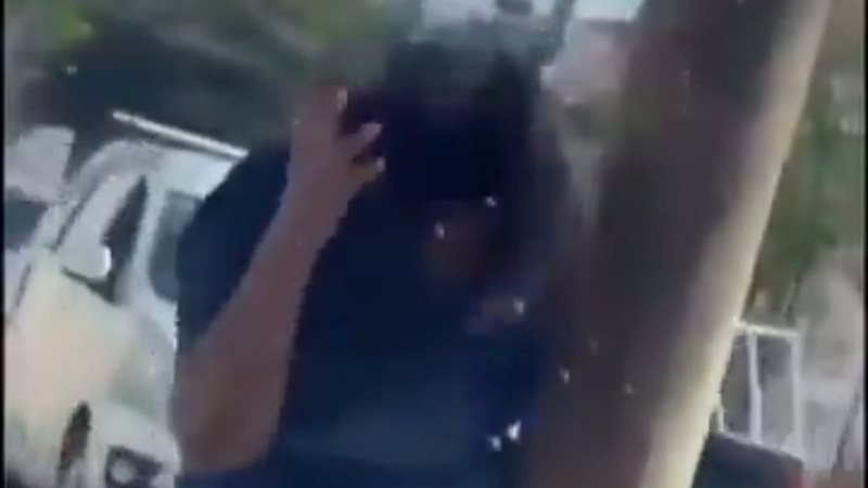 هجوم جيش من النحل