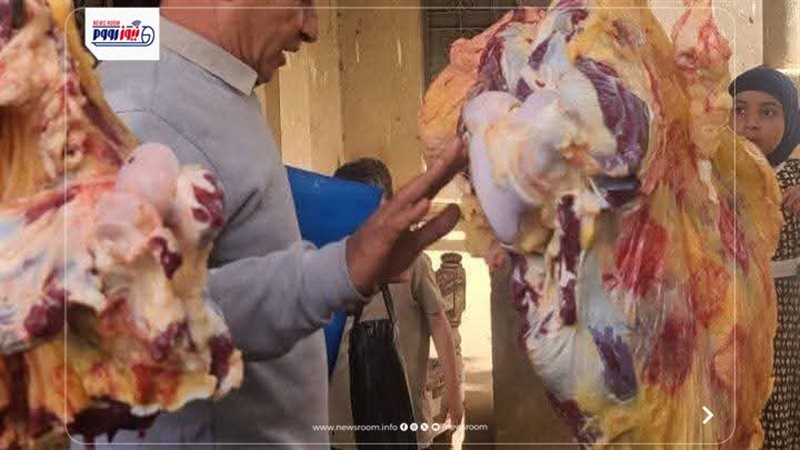 حملات تفتيشية بالمنيا