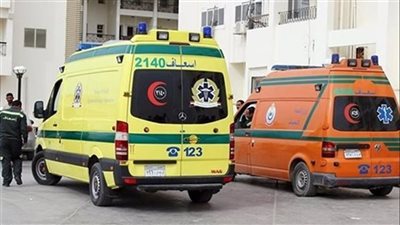 إصابة 3 أشخاص في حادث تصادم سيارة ربع نقل وتوكتوك بالدقهلية