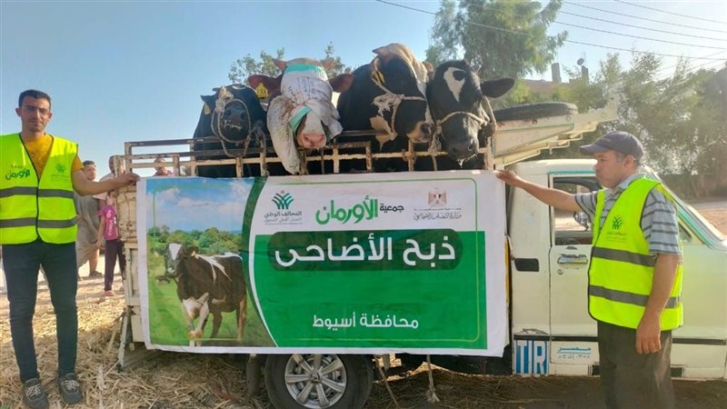 صورة واقعيه