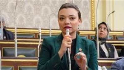 برلمانية: إنشاء بطاقة رقم قومي للأطفال سيحميهم ويقلل من الجرائم