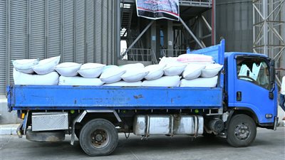 توريد 3884 طن قمح بالبحيرة حتى صباح اليوم وانتظام كامل بمنظومة الاستلام
