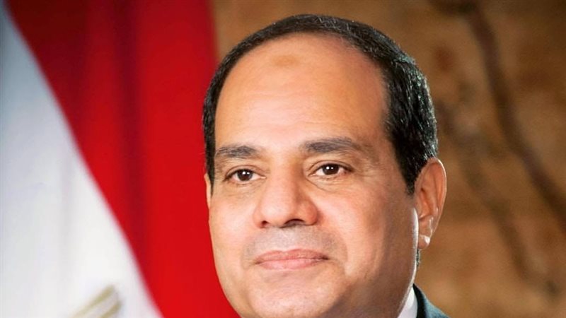 فخامه الرئيس عبدالفتاح