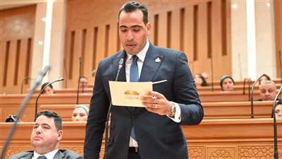 برلماني: ذكرى تحرير سيناء تؤكد أن السيادة المصرية خط أحمر