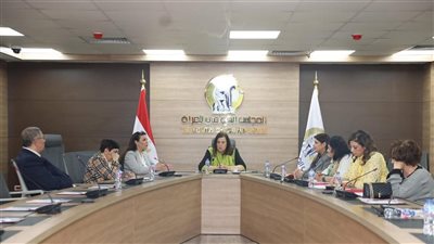 لجنة العلاقات الخارجية بالقومي للمرأة تستعرض أنشطتها وخططها المستقبلية