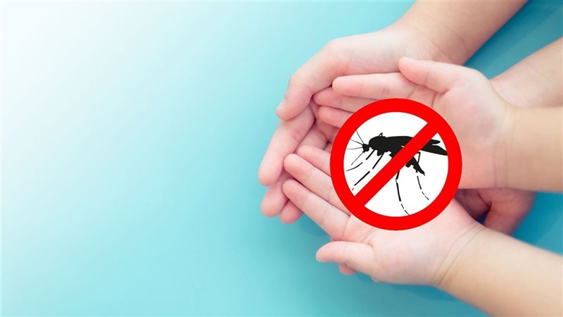 صورة موضوعية