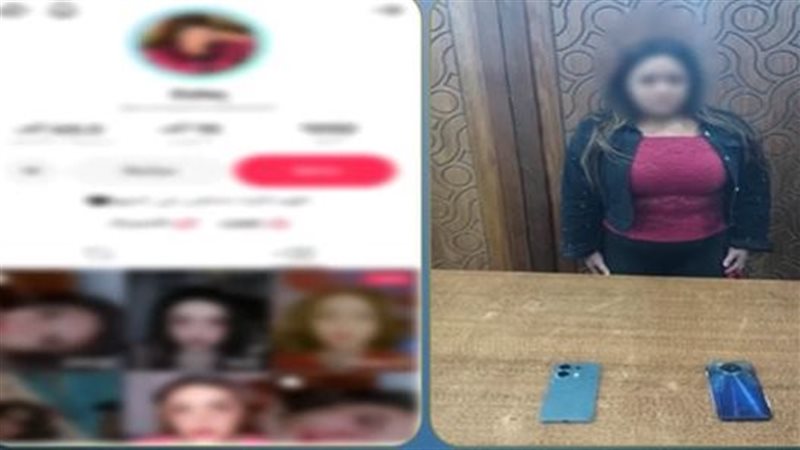 صانعة محتوي