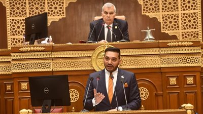 نائب:  قضية رعاية النشء والشباب تمثل حجر الزاوية في استراتيجية بناء الجمهورية 