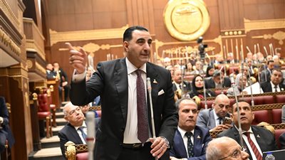 غنيم: تطوير مراكز الشباب أولوية لحماية الشباب من المراهنات والمخدرات