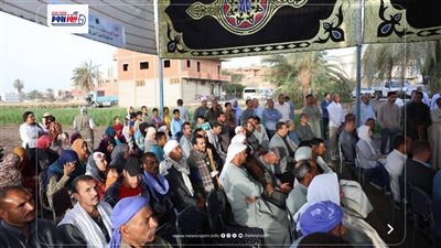 تكريم مزارعي بني حكم.. زيادة 16 ألف فدان تعكس نجاح موسم القمح بالمنيا