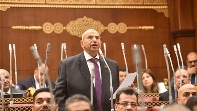برلماني يطالب بتحويل مراكز الشباب لـ حاضنات للابتكار الرقمي والوعي الوطني