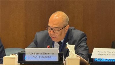 محمود محيي الدين يدعو لمواءمة الاستراتيجيات الوطنية مع الاحتياجات المحلية