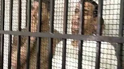 تأجيل محاكمة المتهمين بقتل تاجر الذهب أحمد المسلماني برشيد إلى 23 مايو