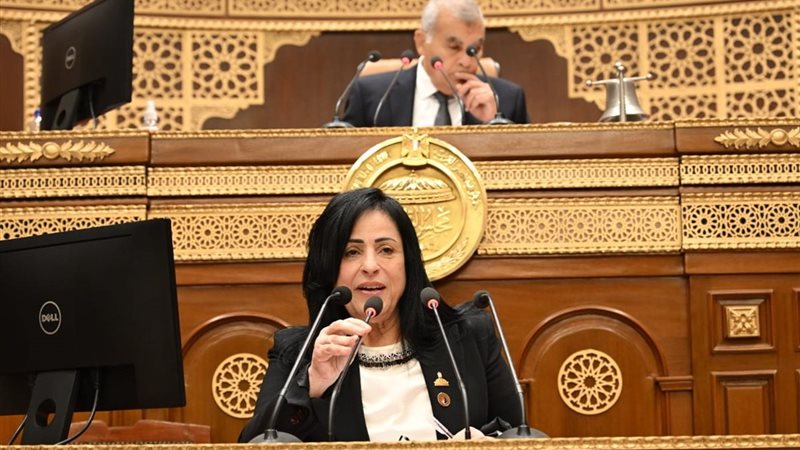  النائبة ميرال جلال