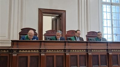 إحالة أوراق المتهمين بـ«سيلفي الموت» في العجمي إلى المفتي