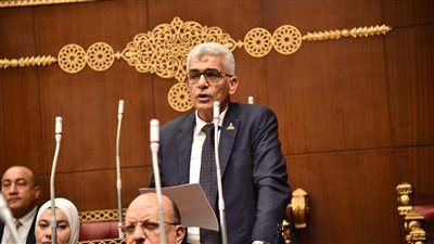 نائب بالشيوخ: تطوير مراكز الشباب يجب أن يشمل «البشر» قبل «الحجر»