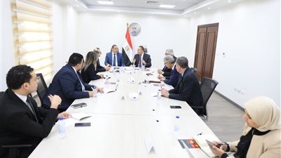 وزير التعليم العالي يبحث مع رئيس الرقابة المالية آليات نشر الثقافة المالية  