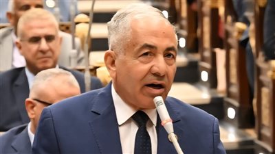 أحمد العوضي وكيل مجلس الشيوخ يطالب بوضع حد أدنى للمعاشات  