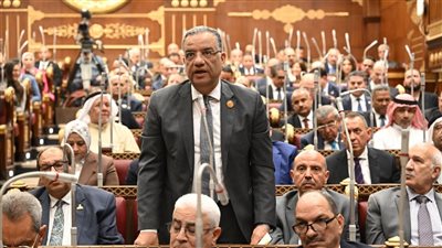 محمود مسلم: المعاشات استحقاق وليست منحة.. ونطالب بمزيد من الجهد