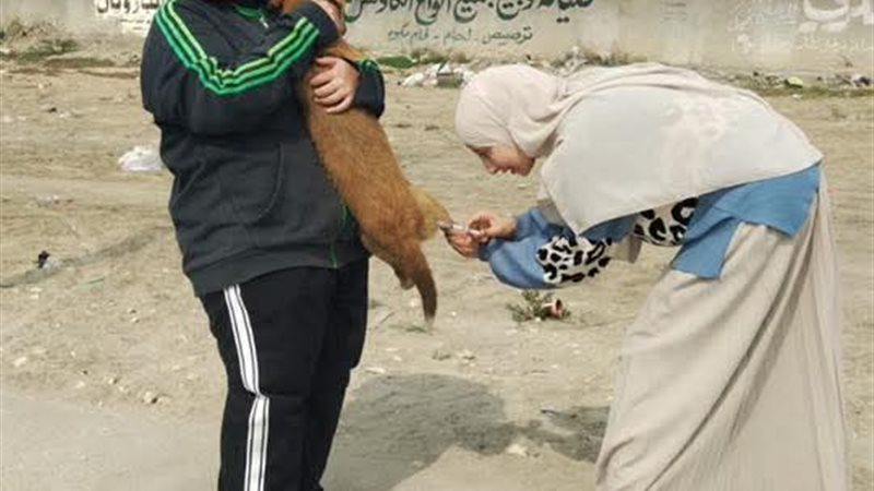 جانب من الحملة 