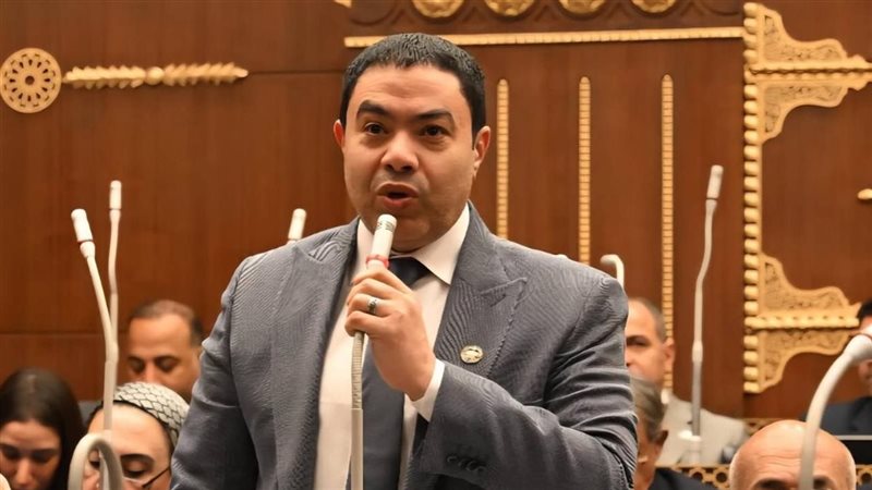 النائب إسماعيل الشرقاوي