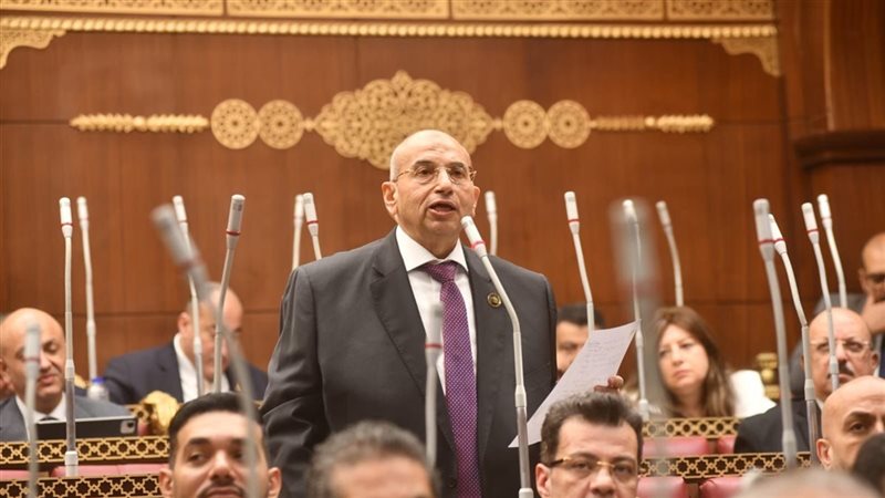 النائب أشرف عبد الغني