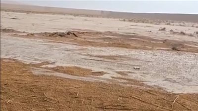 الدكتور سويلم يتابع موقف السيول بشمال سيناء ويؤكد عدم وقوع أي خسائر