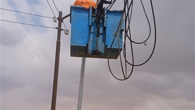حي الجناين بالسويس يرفع كفاءة إنارة الطرق ويؤكد استمرار تحسين الخدمات 