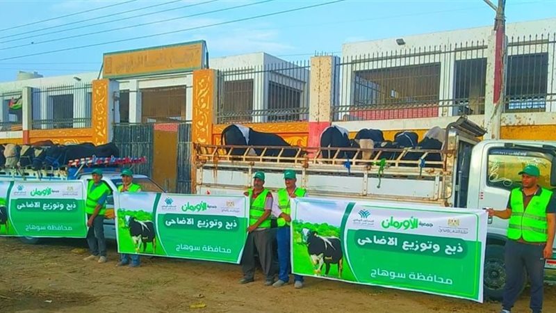 الأورمان 