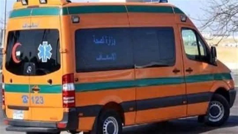 ارشيفية