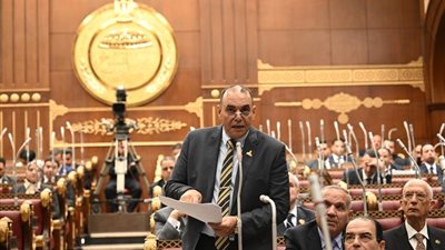 برلماني يطالب برفع مخصصات الصحة في الموازنة الجديدة لتحقيق العدالة العلاجية