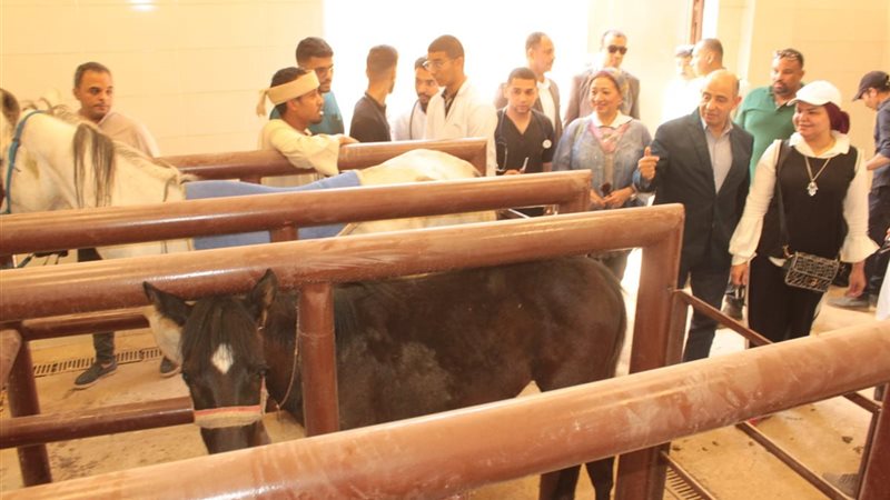 صورة واقعيه