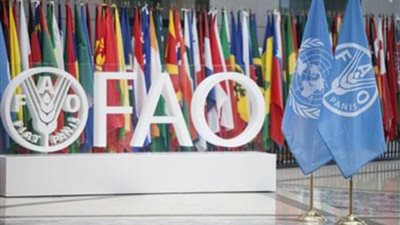 «الفاو»: تحركات لتعزيز التعاون الزراعي ومواجهة أزمات الغذاء عالميا