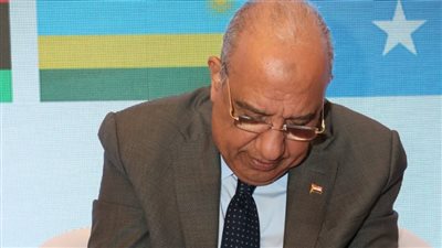 تجمع دول شرق إفريقيا للطاقة يقرر اتخاذ مصر مقرا له         