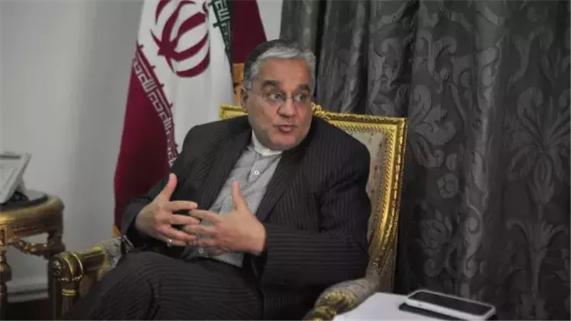 السفير الإيراني لدى