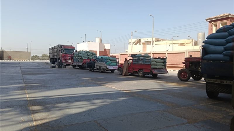 صورة واقعيه