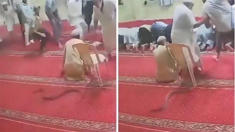 صورة موضوعية