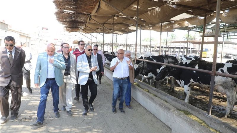 جمعية الثروة الحيوانية