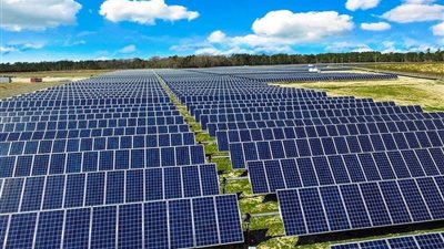 شعبة الطاقة المتجددة: كل 