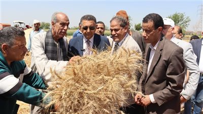 محافظ القليوبية يتفقد موسم حصاد القمح بمدينة قها ويؤكد: الدولة حريصة على دعمهم